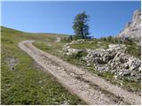 Rifugio Bai de Dones - Rifugio Scoiattoli